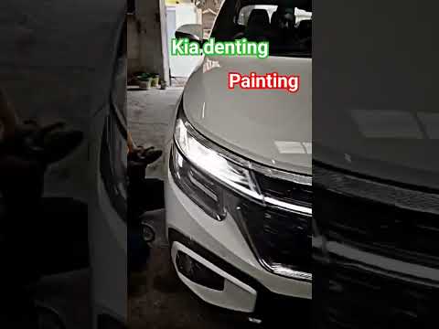 Kia, Seltos Viral