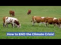 🐄 How to END the Climate Crisis While Saving Cows and Farmland!