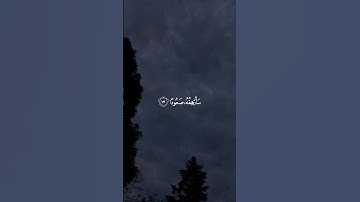 ذَرْنِي وَمَنْ خَلَقْتُ وَحِيدًا | الشيخ عبدالله خلف - سورة المدثر
