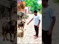 vfx short video #cartoon video #fani #fanivideo #faniwillis