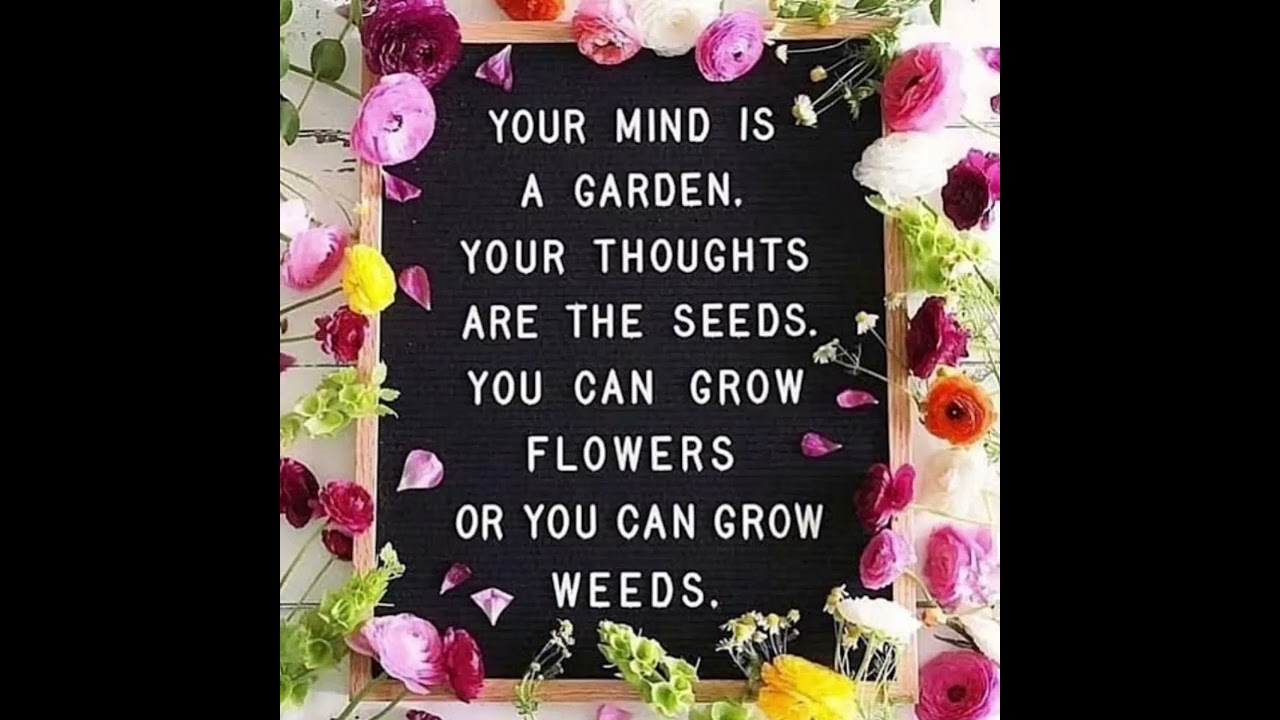 Good Morning Nutrition- mind is a garden- plant happy thoughts-  motivational quotes - Kiran Bedi - Official Website