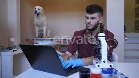 Vet Working on Microscope and Laptop at Clinic | Stock Footage - Envato elements
