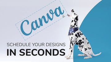 How to use Canva’s integration with Metricool 🖌️