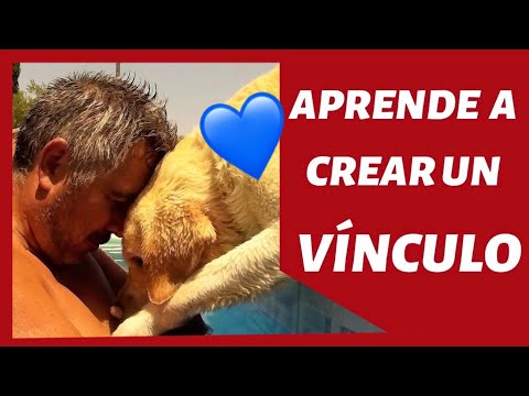 APRENDE A CREAR UN VÍNCULO ESPECIAL CON TU PERRO