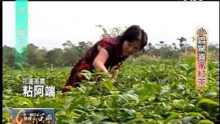 20111204 TVBS 一步一腳印 發現新台灣 - 小蟲驚喜蜜紅茶