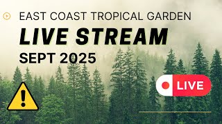 East Coast Tropical Garden Live Stream Gorleston Great Yarmouth Weather #growagarden