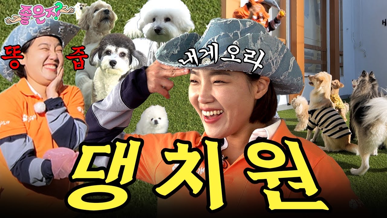 ※귀여움 주의※ 강아지 유치원 출근 완료했습니다 [좋은지] EP.5