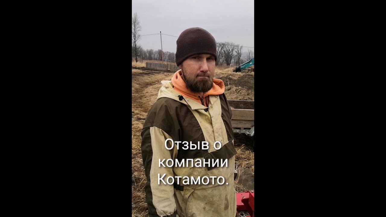 Kotamota. Kotamoto комиксы. KOTAMOTA artist. — PlayBookPro.ru