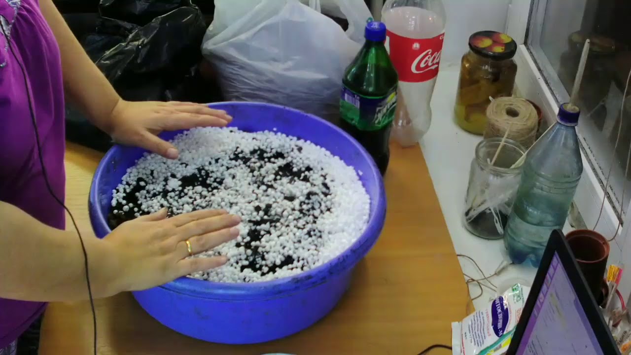 Домашняя оранжерея.Грунт,грунт,грунт!!!!
