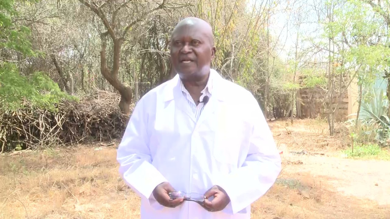 Unlocking the Secrets to Dryland Farming Success: Expert Tips and Strategies