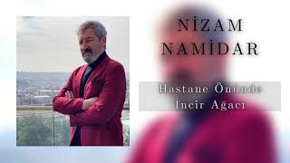 Nizam Namidar - Hastane Önünde İncir Ağacı Resimi