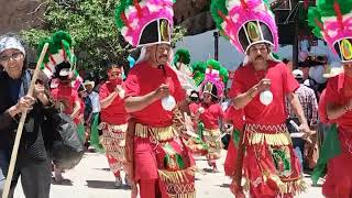 La Sierrita De Gamon Festejando A La Virgencita De Guadalupe 11 De Mayo 2024