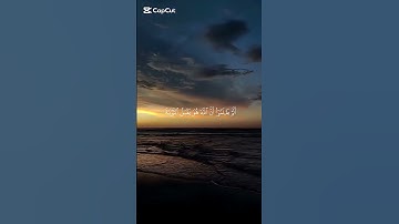 #قرآن #محمد_صديق_المنشاوي #سورة_التوبة #المنشاوي_الباكي #المنشاوي_الصوت_الباكى #المنشاوي #اكسبلور #