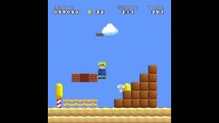 spongebob in super mario brothers