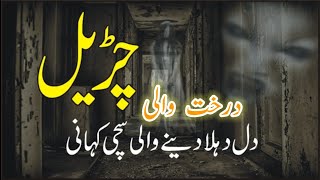 Cartoon Tree Wali Chorail Syed Zahid V Log