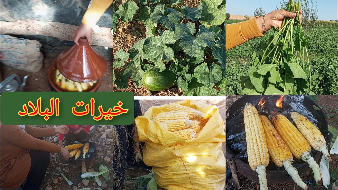 أجواء البادية يوم كامل🌳 من الصباح 🌞 حتى العشية 🌝