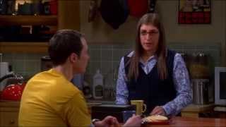 The Big Bang Theory - The gang talk about opening a new comic book store - part 2