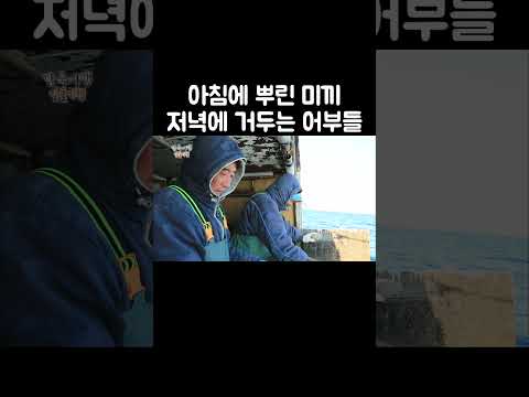 아침에 뿌리고 저녁에 쓸어가는 낚시법 #shorts