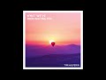 Tim Halperin - What We've Been Waiting For (Official Audio)