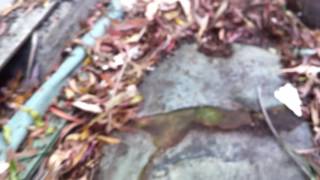 IMG 04311
