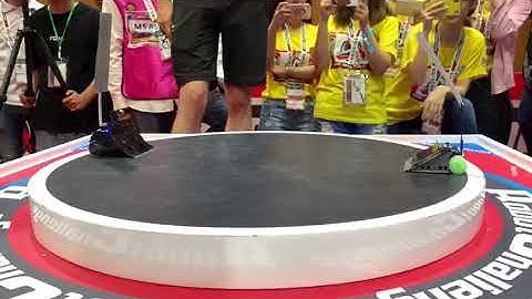 RobotChallenge 2019 Mini Sumo final