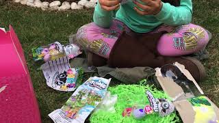 Abriendo Hatchimals minis