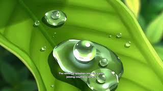 The Journey of a Raindrop