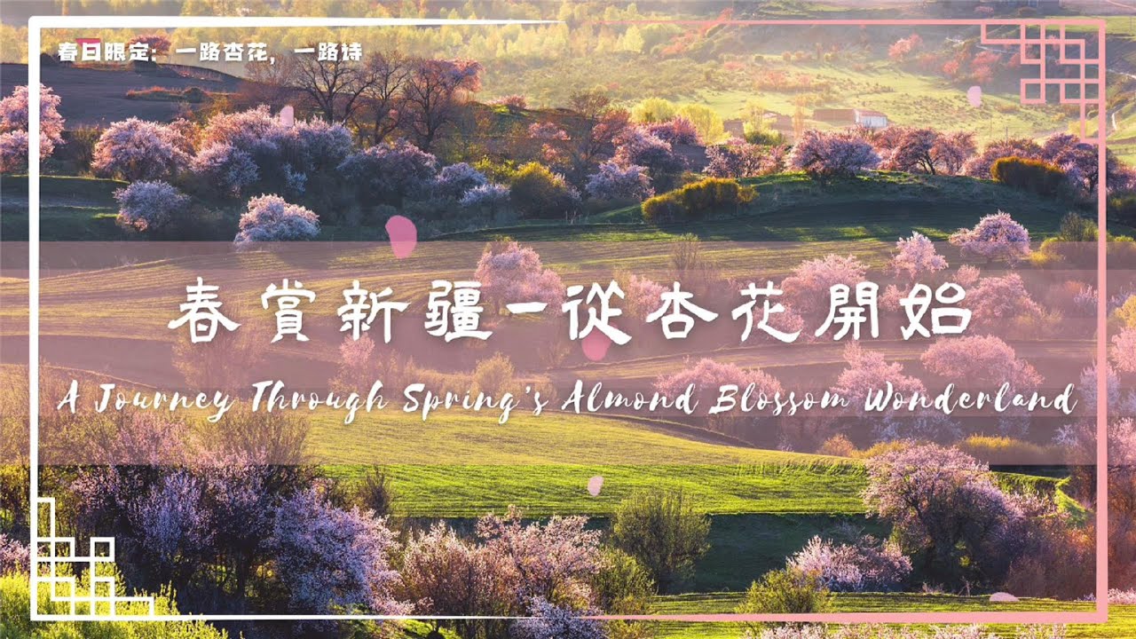 大美新疆 ｜ 初春杏花盛宴：帕米尔高原、吐鲁番、伊犁赏花攻略！（Xinjiang Spring Almond Blossom Guide:  Best Blooming Spots! ）