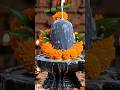 Kyu jaruri hai shiv ki puja karna|| #aivideo #shivpuja #mehantfal #viralvideo