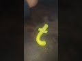 Cartoon+ all logos