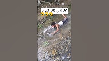 #أكتب- شيئ- تؤجر- عليه #عبدالرحمن_مسعد_تلاوة_جديدة
