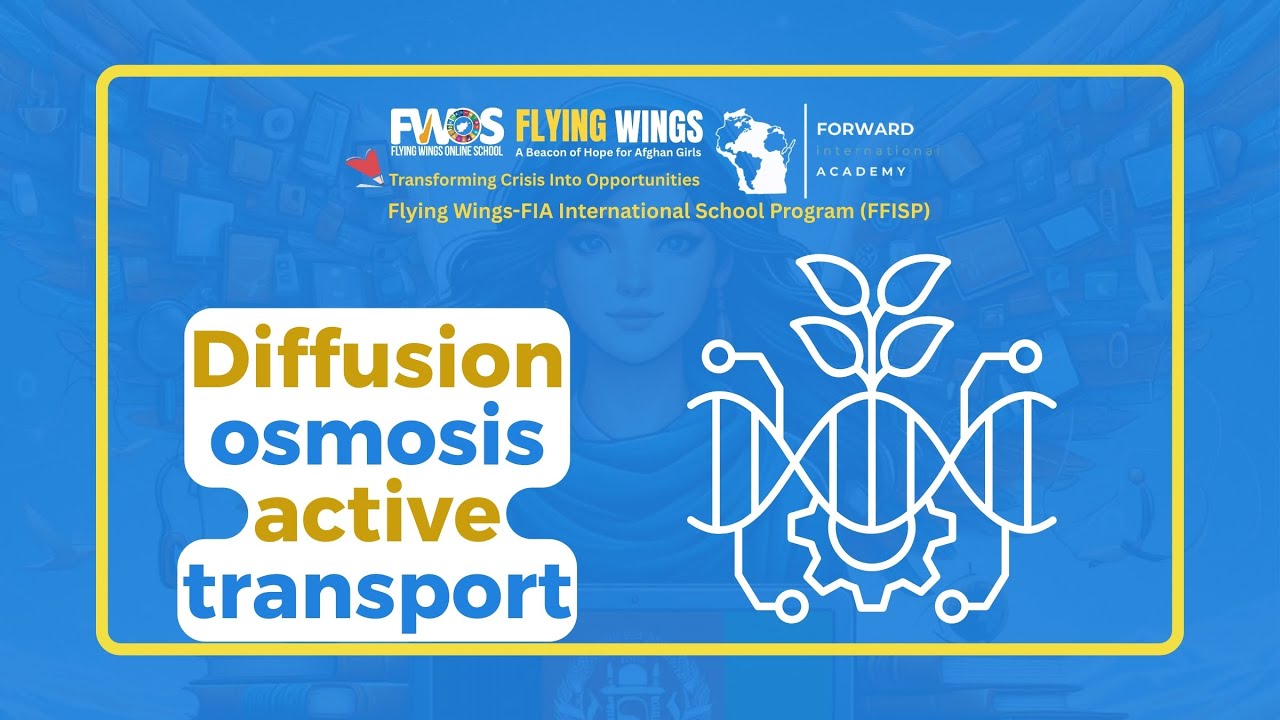 Lesson 4 Diffusion, osmosis, active transport