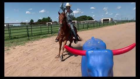 Smarty Pro Team | Train like Jade. Train with Smarty.