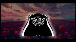 Pretty little baby | JNCX koplo remix