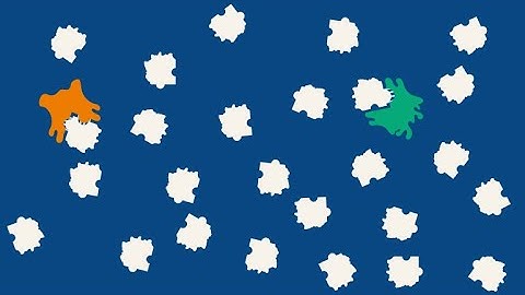 Intermolecular Interactions