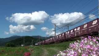 東海道本線　穂積　－　近江長岡　2012/10撮影　EF65
