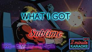 Sublime - What I Got (Short Karaoke)