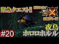 【MHX】はじめてのモンスターハンタークロス実況!! #20 【モンハンX／ホロロホルル戦】