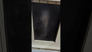 I didn't expect this pet door flap to last this long Evergreen Pet Supplies Replacement Dog Door Fla