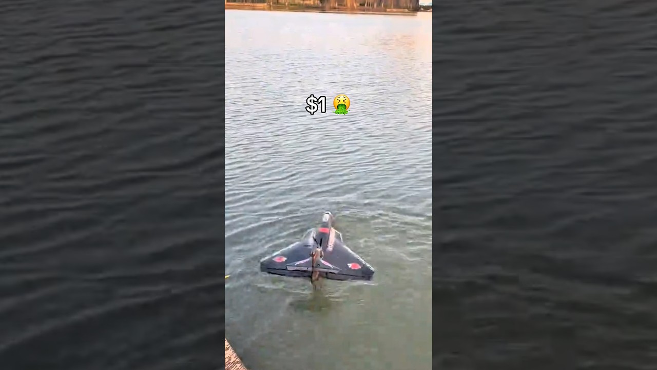 Which was the best? 👇 