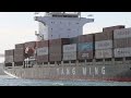 [貨輪出港] 陽明海運 近明輪🚢支線三型貨櫃輪 | 穿裙裙拍船船