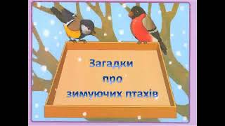 картинка: Загадки про зимуючих птахів