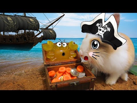 Пираты Карибского Моря 5 : БАФФИ И КРАБС ! Канал про Животных !