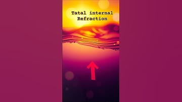 Total Internal Reflection | Experiments #rarephenomenon
