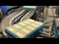 IDK-INOX Design Kateris S.A. - Automated machines for cheese production - Cutting Machines