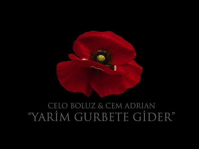 cem adrian yarim sarki sozleri l