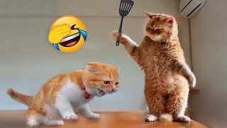 Funny Animal Videos  - Funniest Dogs/Cat Videos 🐶 😺Try Not To Laugh😂😹 by FunnyWorld 5,790 views 3 months ago 10 minutes, 13 seconds