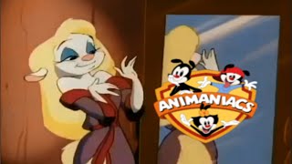 Animaniacs Season 1 Episode 54, 