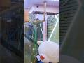 Can We Win This Eyeless Teddy? #arcade #games #timezone