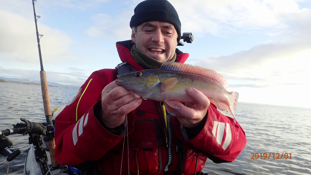 Reef fishing in Donegal Bay Ireland YouTube
